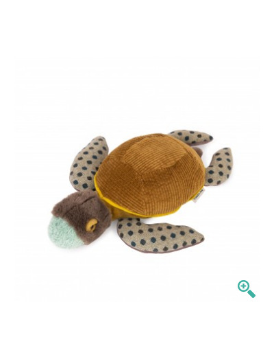 Petite Tortue Tout Autour Du Monde - 719028