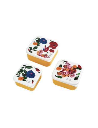 Set de 3 Lunch Box Hibiscus - LH994P - Petit Jour Paris