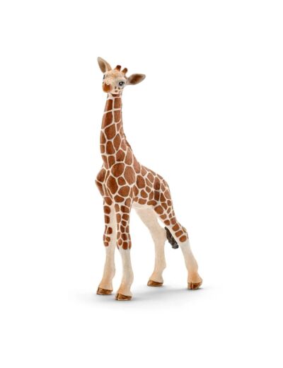 Bébé Girafe  -Schleich - 14751