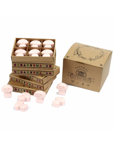 Boîte de 6 Fondants en Cire Soja - Bois de Santal Foncé