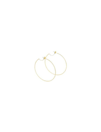 Boucles d'oreilles créoles ZAG Mahonia en acier doré