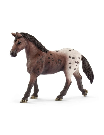 Jument Appaloosa -Schleich- 13861