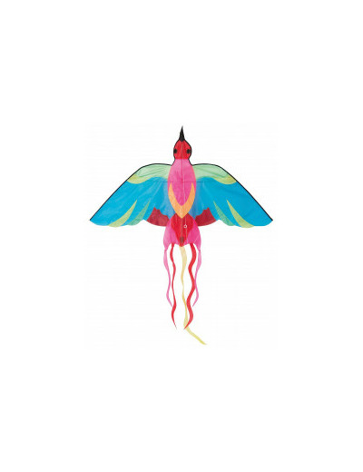 Cerf Volant Oiseau Aujourd'hui c'est mercredi - Moulin Roty- 713133