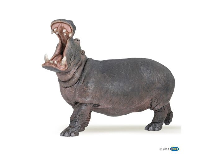 Hippopotame -Papo- 50051
