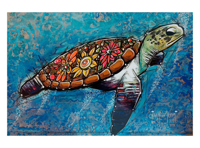 La tortue 354