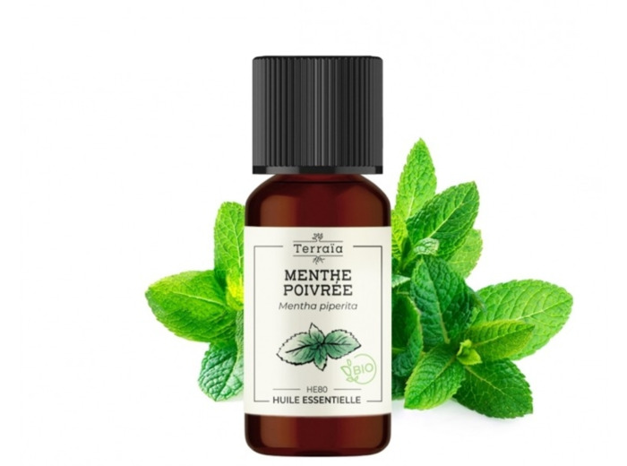 HUILE ESSENTIELLE MENTHE POIVREE 10 ml