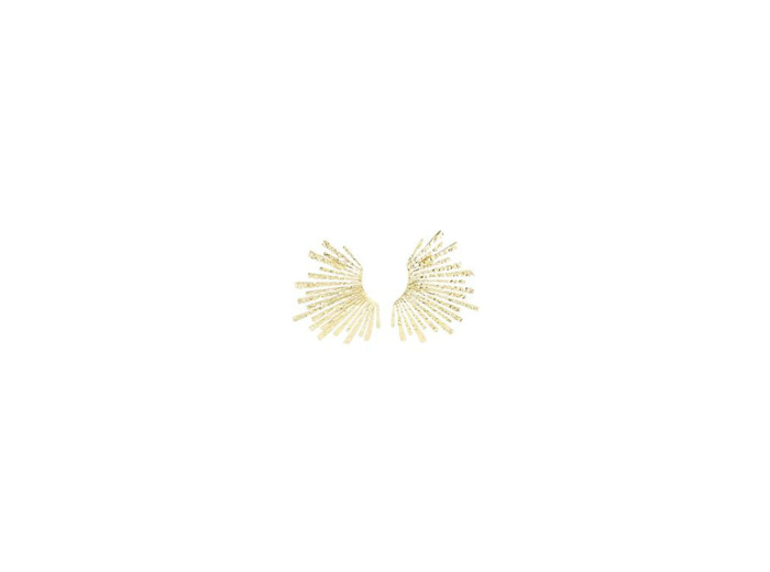 Boucles d'oreilles ZAG Angelo en acier doré