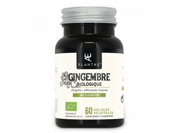 GINGEMBRE BIOLOGIQUE 60 GELULES