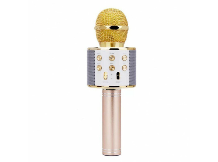 Micro karaoke