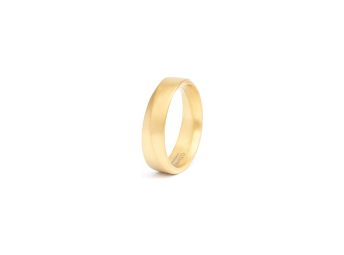 Bague Gemini Classics en titane