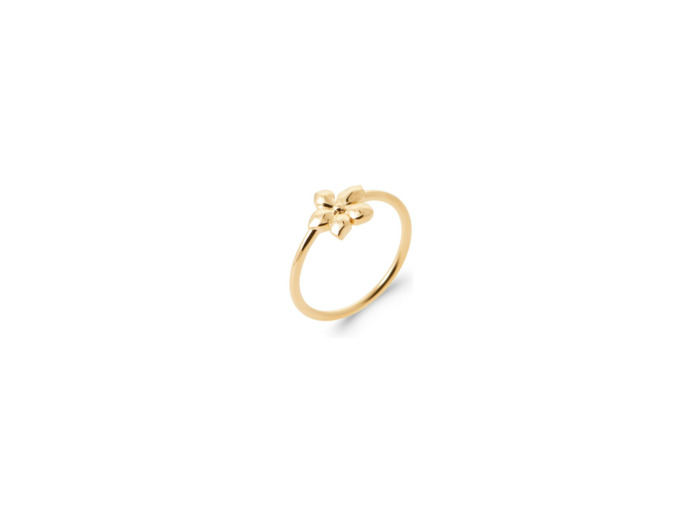 Bague en plaqué or