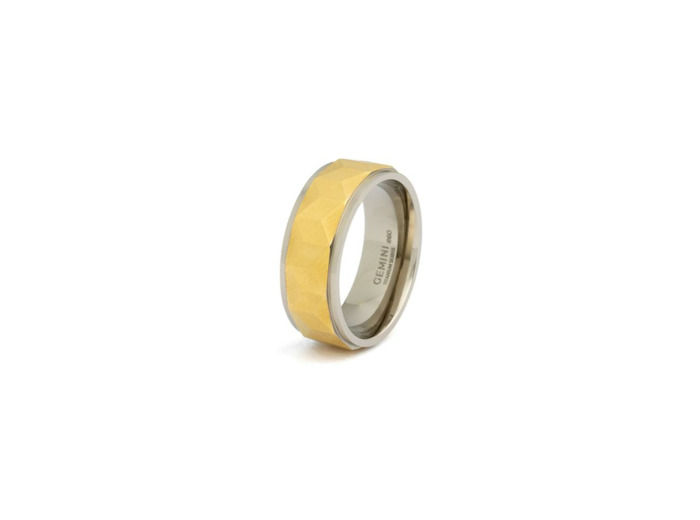 Bague Gemini Classics en titane