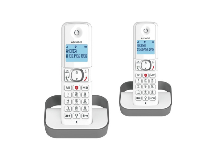 TELEPHONE FIXE F860 DUO