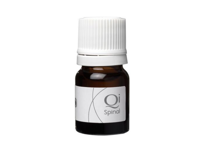 SOLUTION QI SPINAL CHRISTIAN ROCHE DOSE 2.5ML