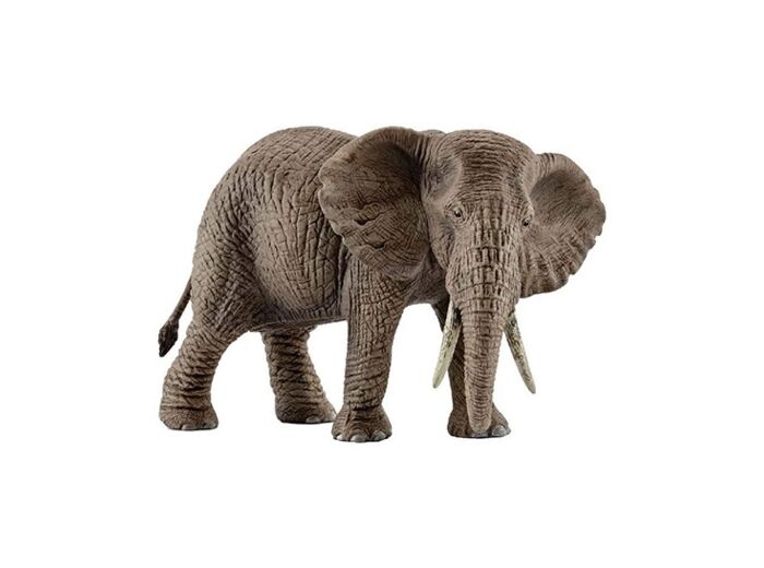 Elephant D'Afrique Femelle -Schleich- 14761