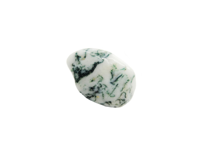 Agate Dendrite pierre roulée