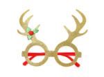 Lunettes de Noël