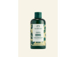 Shampooing Brillance & Protection Moringa