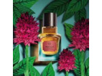 Nigritella Eau de Parfum