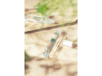 Roll-On Huile de Parfum White Musk®