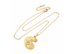 Collier gecko acier inoxydable
