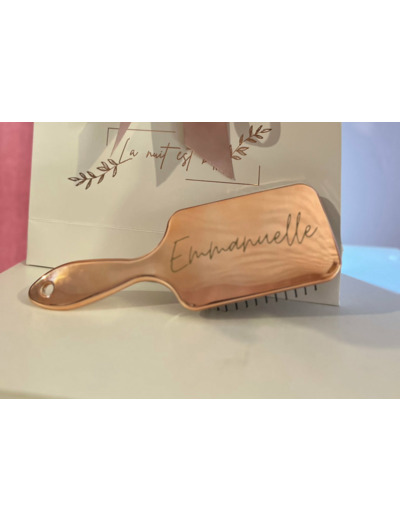 Brosse à Cheveux