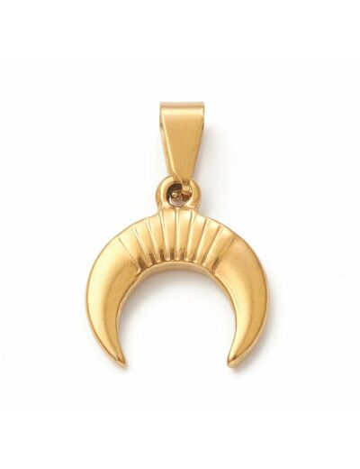 Pendentif croissant de lune acier inoxydable