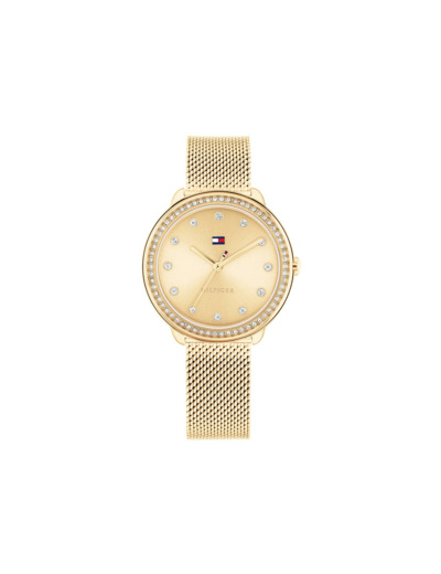 Montre Tommy Hilfiger Demi 1782699
