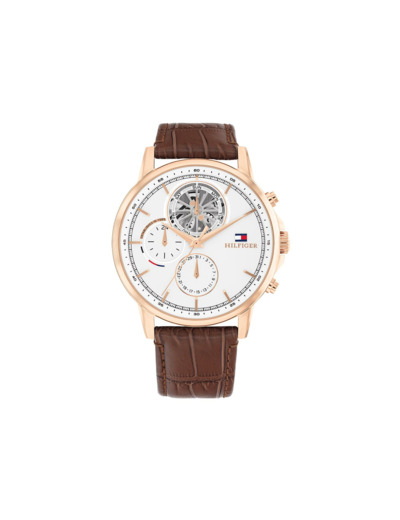 Montre Tommy Hilfiger Stewart 1710606