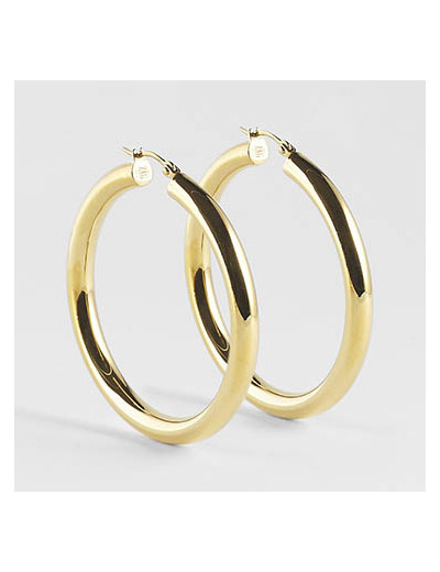 Boucles d'oreilles ZAG en acier doré