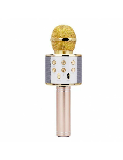 MICRO KARAOKE