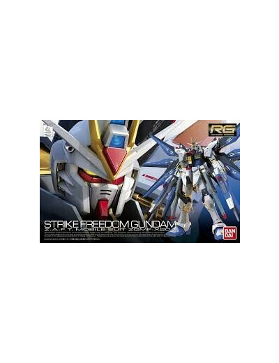 Real Grade - ZGMF-X20A Strike Freedom - 13 CM MIX FIG