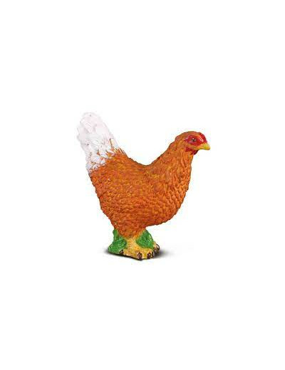 Poule - 88005 - Colecta