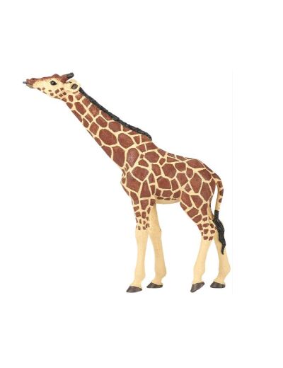 Girafe Tête Levee - Papo - 50236