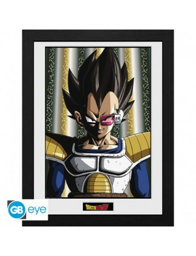 DRAGON BALL - Tirage encadré DBZ/"Vegeta" (30x40)