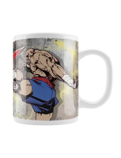 MUG STREET FIGHTER : CHULI FIGHT SAGAT