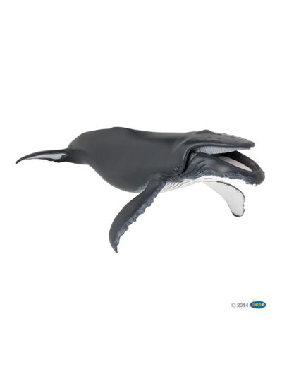 Baleine à bosse -Papo- 56001
