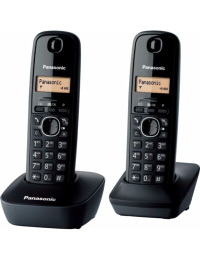 Téléphone sans fil Duo REF KX-TG1612FR