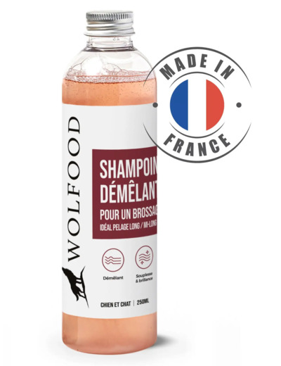 Shampoing Démêlant - 250 ml