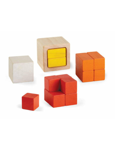 Cube fraction - Plan Toys- PT5369