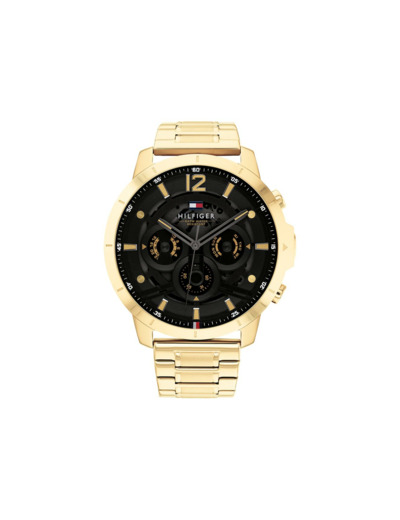 Montre Tommy Hilfiger Luca 1710511