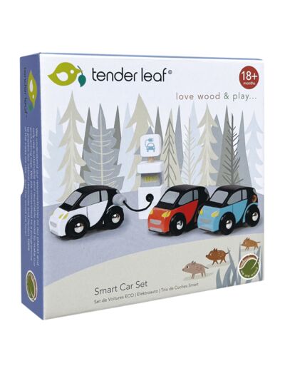 Set Voitures electriques et la borne de rechargement - Tender leaf - TL8373