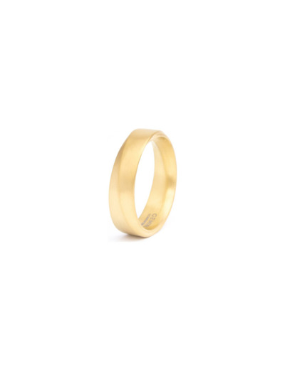 Bague Gemini Classics en titane