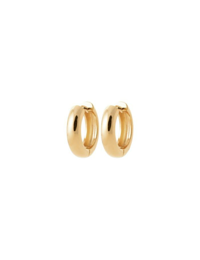 Boucles d'oreilles créoles en plaqué or