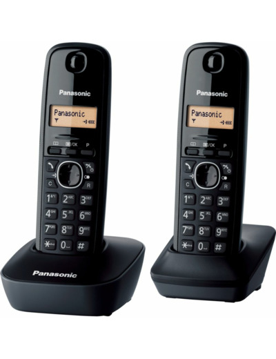 Téléphone sans fil duo ref kx-tg1612fr