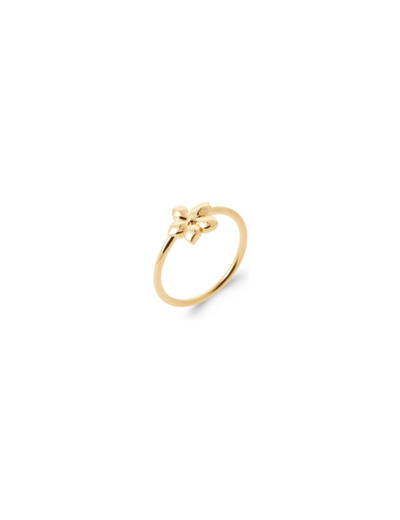 Bague en plaqué or