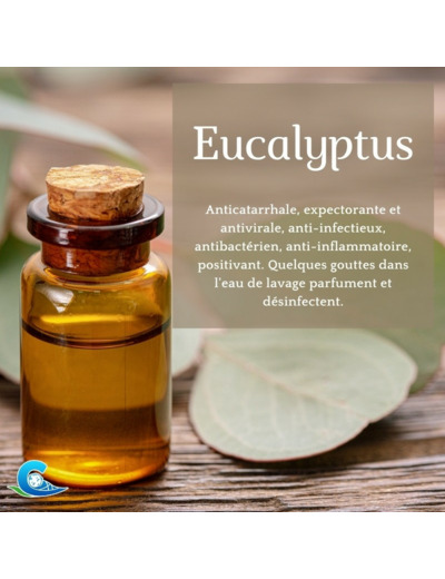 HUILE ESSENTIELLE D'EUCALYPTUS BIO CEVEN'AROMES 10 ML