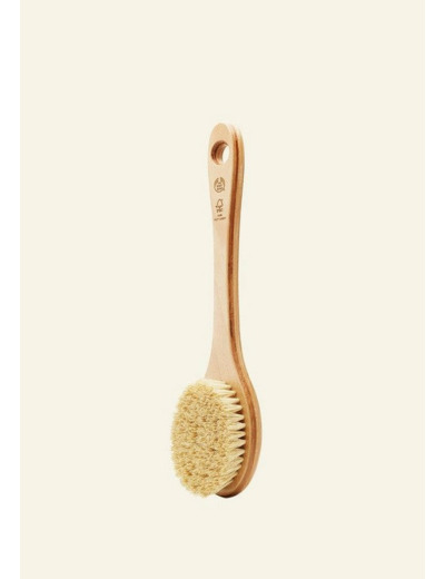 Brosse en Cactus