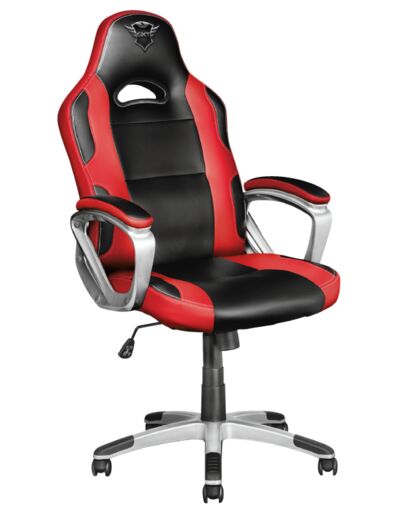 Chaise Gaming REF GXT705RYON