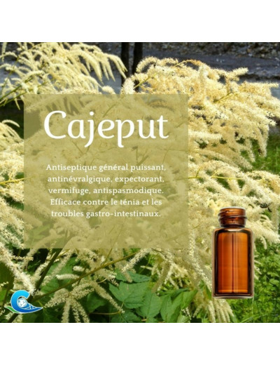 HUILE ESSENTIELLE DE CAJEPUT BIO CEVEN'AROMES 10ML